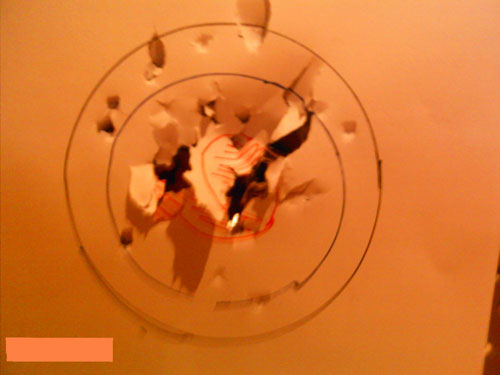 CA SCAR-L Target Picture
