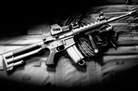D&L Sports AR-15s D&L Sports AR-15s