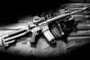 D&L Sports AR-15s