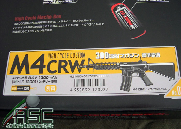 ASC TM High Cycle 01