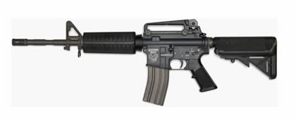 Systema Ptw Max