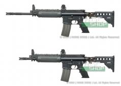 WGC Custom - G&G LR300 GBBs