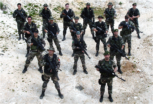 websighting hostile operations team h o t popular airsoft