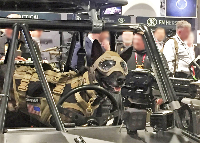 K9s Can Have Head Protection Gear From K9 Helm Soon Popular Airsoft