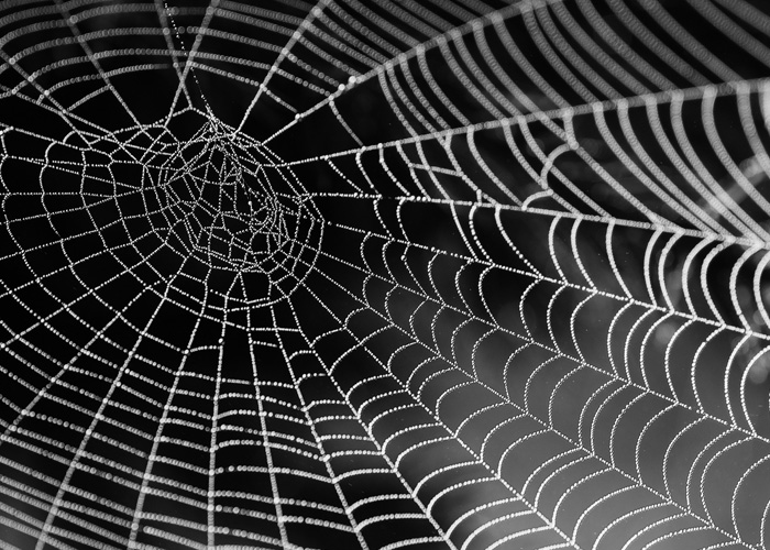 The U.S. Army Is Testing Body Armor Made Of Engineered