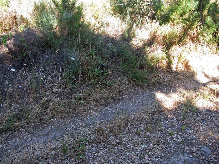 XPower M18 CO2 Powered Claymore Mine Popular Airsoft