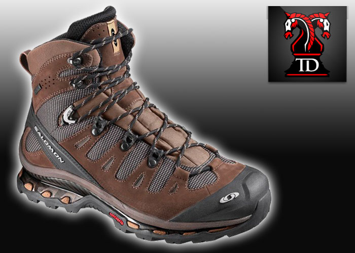 salomon quest brown