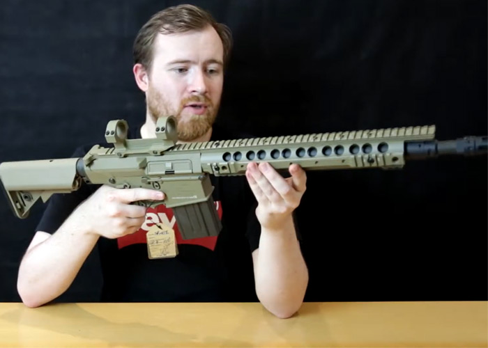 Bespoke Airsoft: Ares SR25/M110 DMR AEG