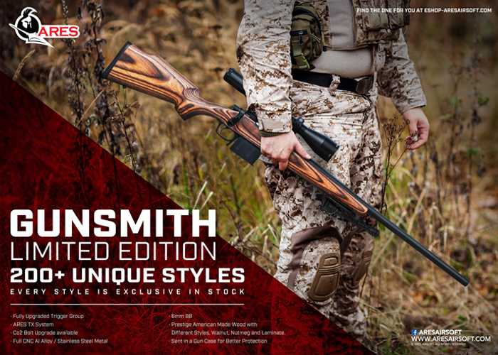 Ares Airsoft Gunsmith Limited Edition Popular Airsoft To The