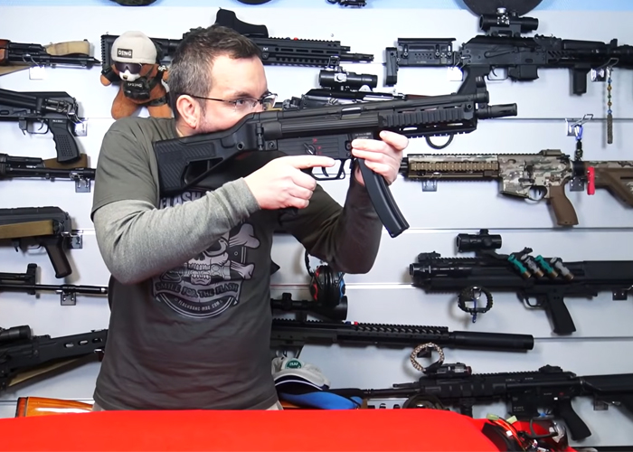 L'Antre du Dingo ICS CES-P SFS AEG Review