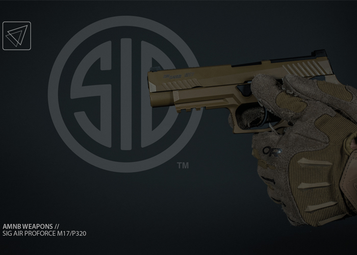 AMNB Review: SIG Air ProForce M17/P320