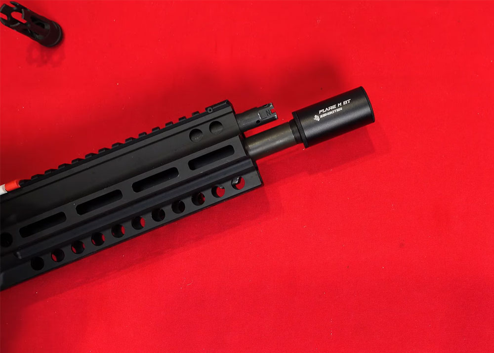 L'Antre Du Dingo EShooter Flare M BT Review