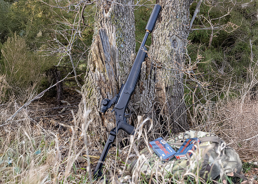 Rossi LWC Folding Stock