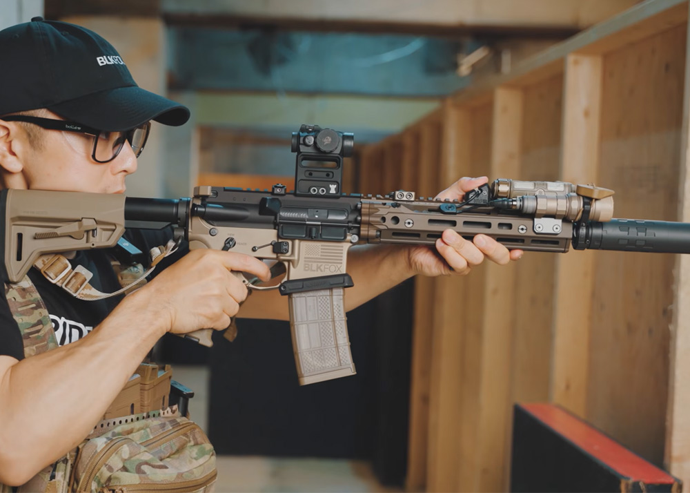Passive Shoot Systema PTW × DD RIS III 9.5 External Build
