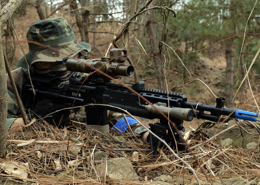 Molcom With The G&G M14 EBR