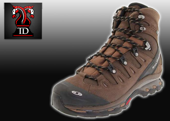salomon quest brown