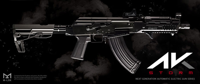 11 APCA AK Storm NGRS