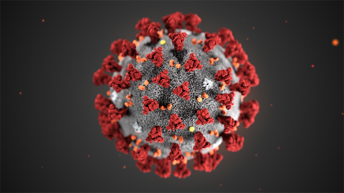 2019 Novel Coronavirus (2019-nCoV)