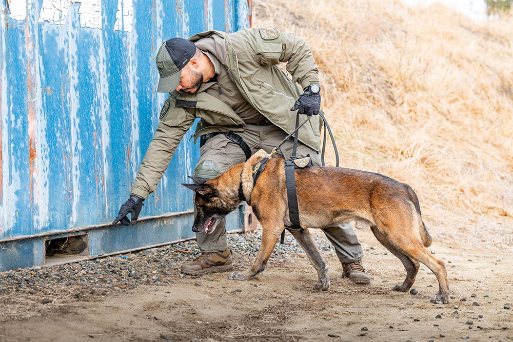 Mission Ready™ Dog Leash, AROS K9 Harness and AROS K9 Collar 1.0