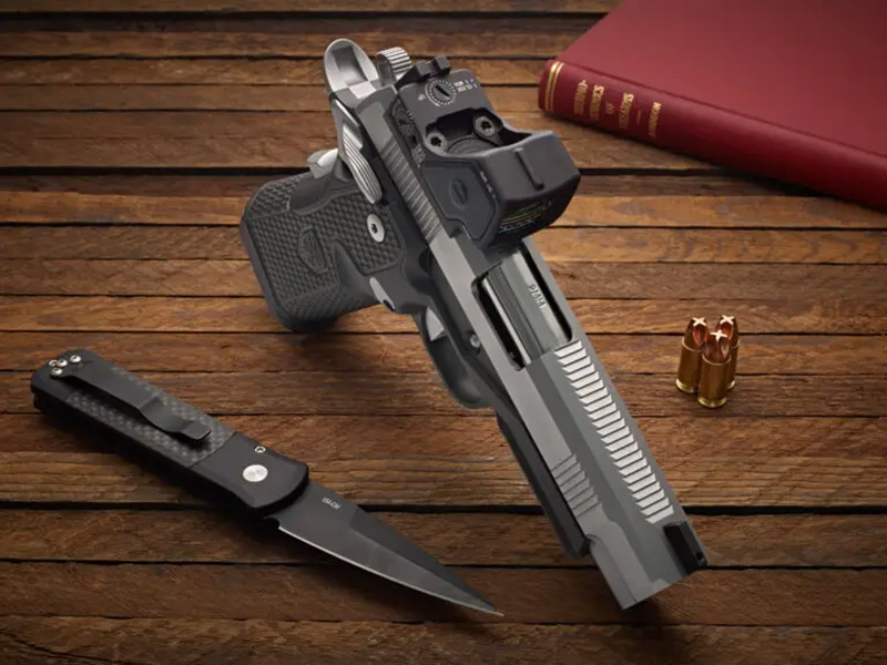 Cabot Guns Rebellion MAX 06