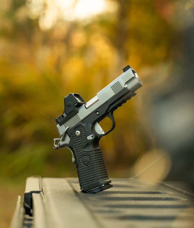 Cabot Guns Rebellion MAX 07