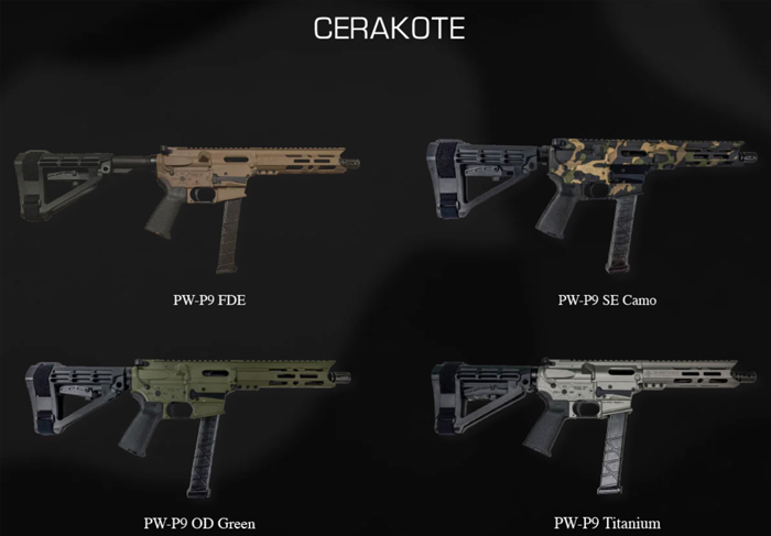 ​Parkwest Arms PW-P904