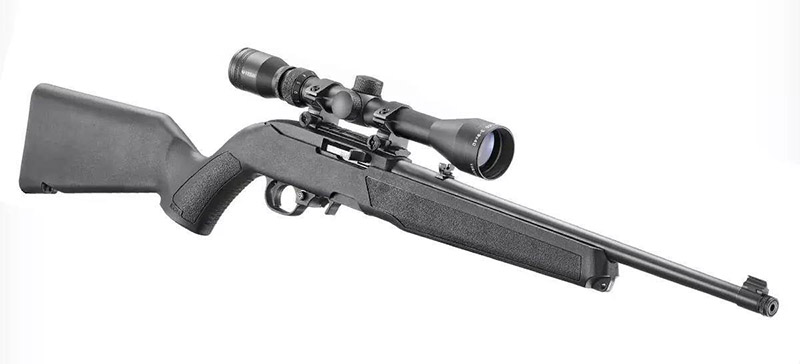 Ruger 10/22 02