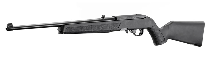 Ruger 10/22 03