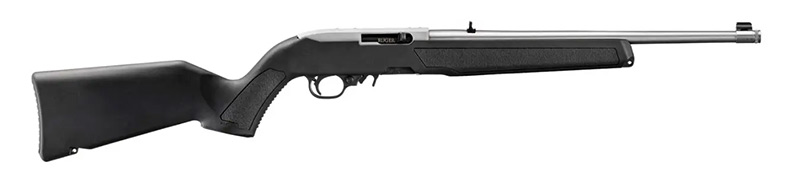 Ruger 10/22 04