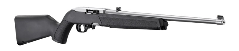 Ruger 10/22 06