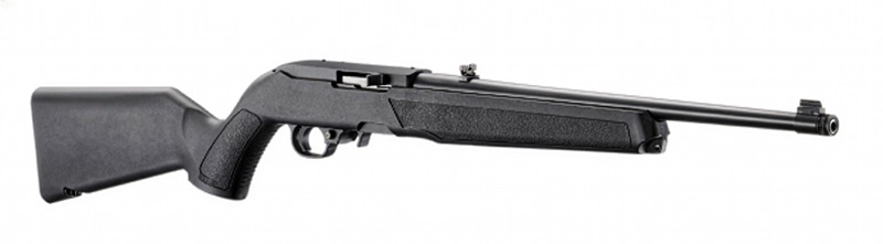 Ruger 10/22 07