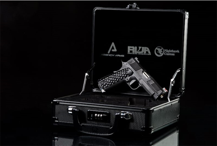 RWA Agent Nighthawk Custom Agent 1 03