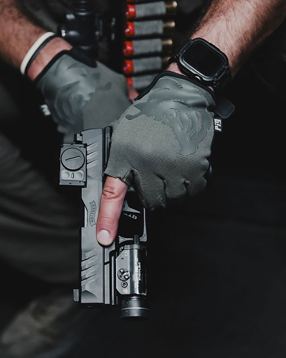 Walther Arms PDP Professional ACRO 02